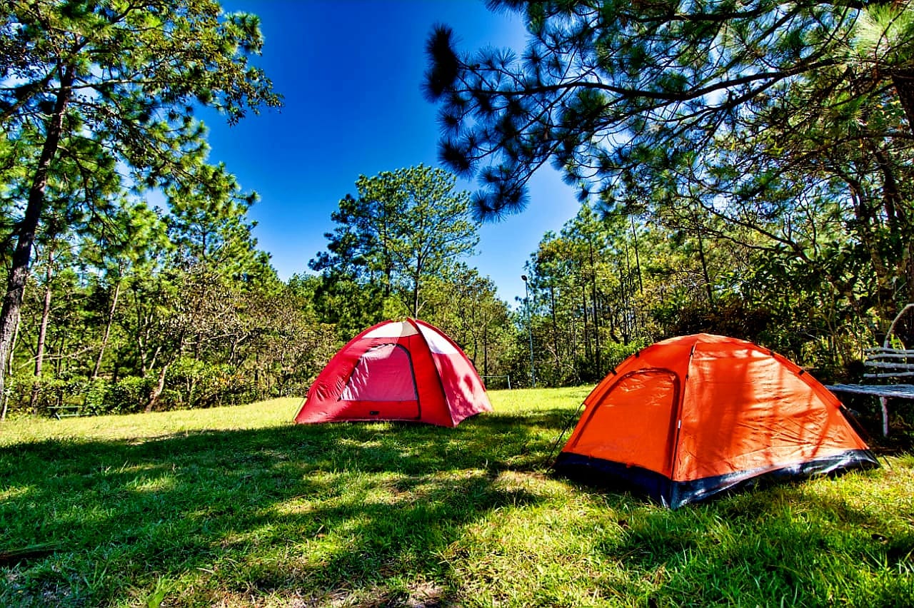 Camping Los Pinos