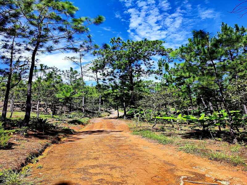 Foto de Los Pinos Cabañas y Camping