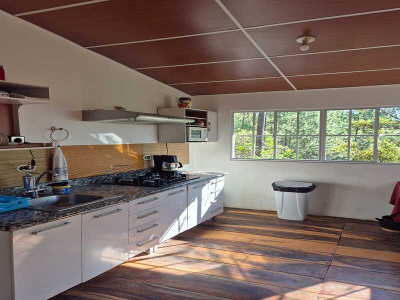 Foto de Los Pinos Cabañas y Camping