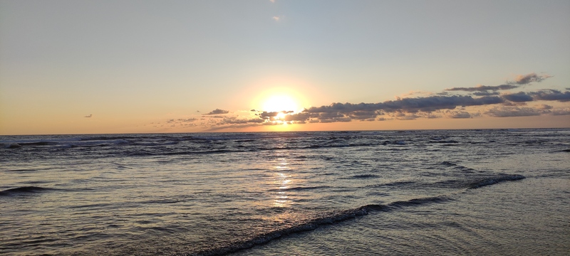 Foto de Rancho Sunshine House