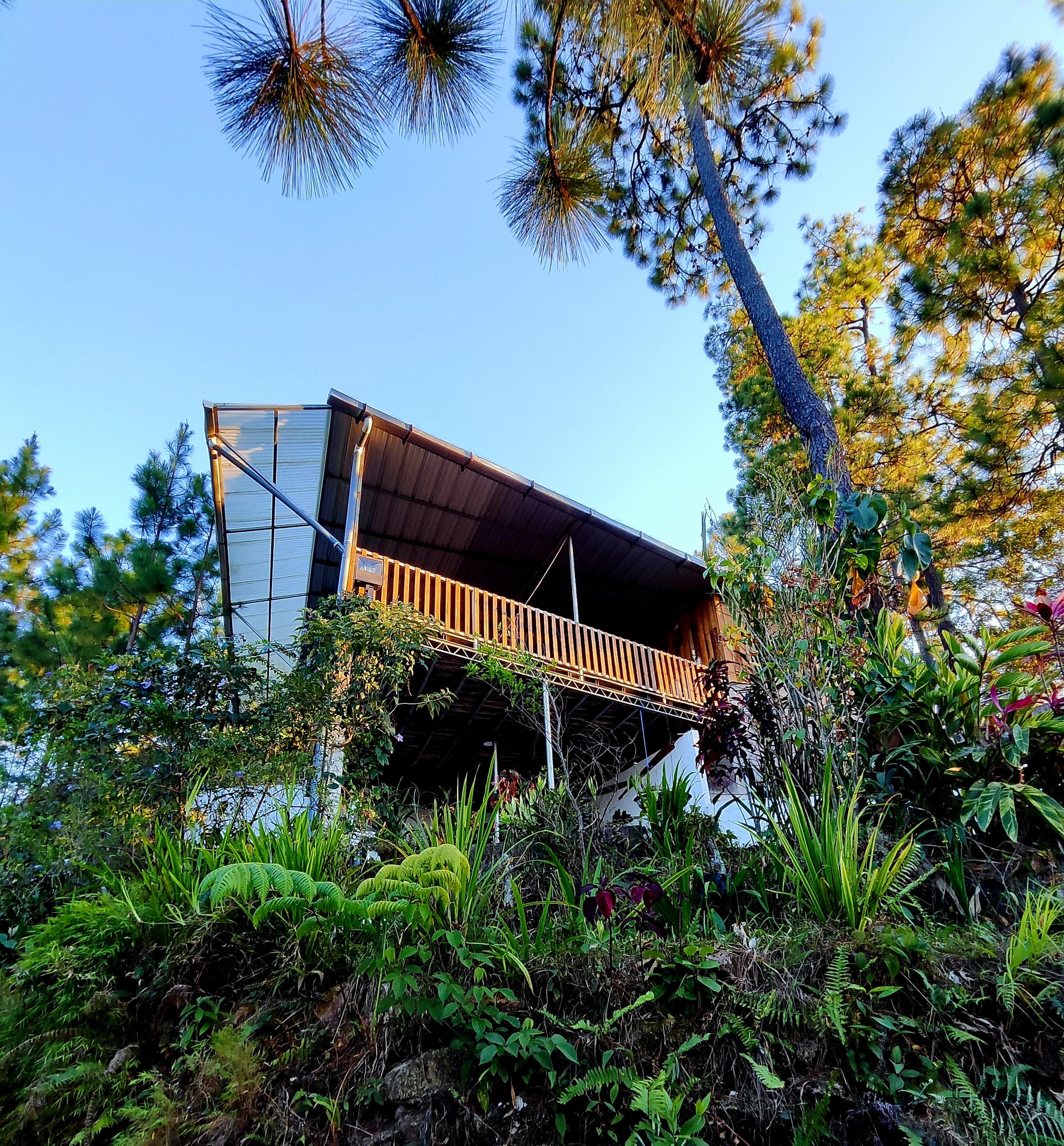 Los Pinos Cabañas y Camping